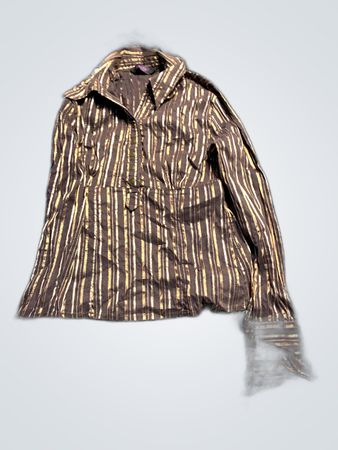 Brown and Gold Striped Long Sleeve Shirt