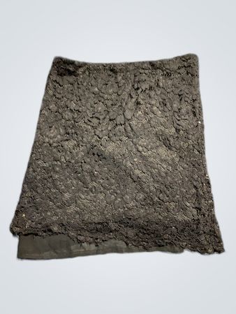 Black Lace Skirt