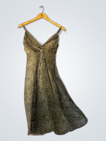 Animal Print Dress