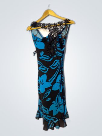 Blue Floral Dress