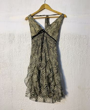 Zebra Print Dress