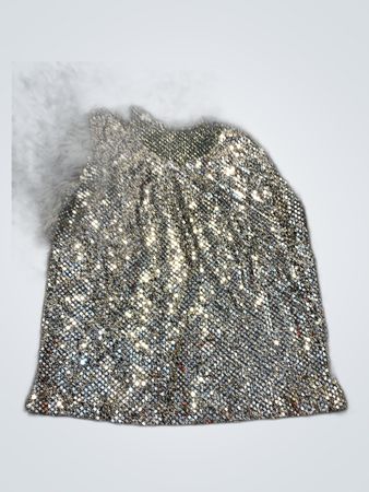 Sequined Silver Skirt