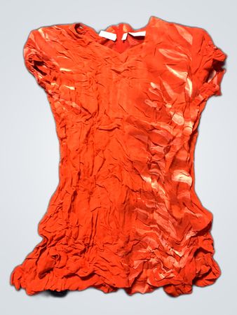 Red Blouse