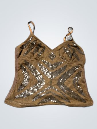 Brown Sequined Top