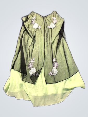 Green Sheer Top with Floral Appliques