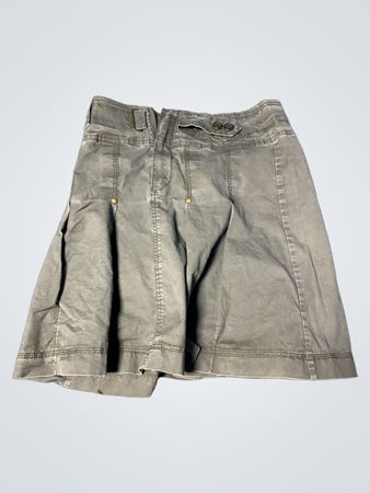 Gray Skirt