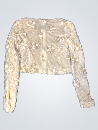 Zara Embroidered Lace Long-Sleeve Top