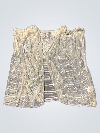 Sequin Fabric