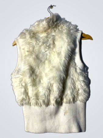 Fur Vest