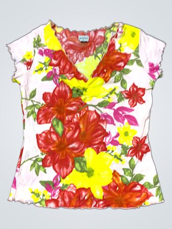 Roberton Floral Print V-Neck Top