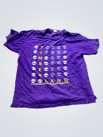 Timberland Graphic T-Shirt