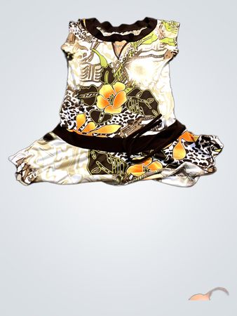 Damen Bedrucktes Kleid