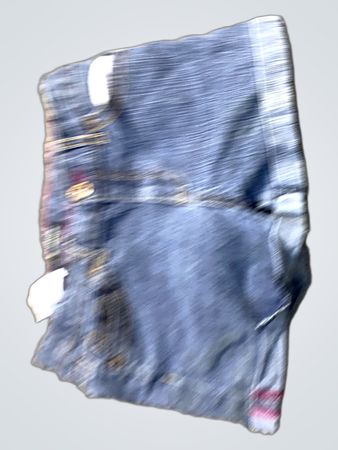 Jordache Denim Shorts