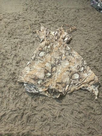 Schlangenprintkleid