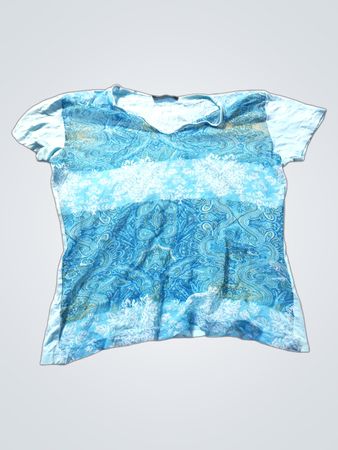 PASSPORT Blau Paisley Druck T-Shirt