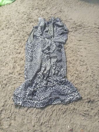 Morgan Leopard-Print Transparente Mini-Kleider