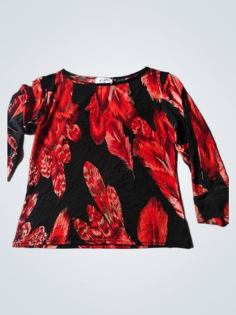 Kiah Red and Black Feather Print Long Sleeve Top