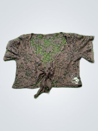 Brown Lace Top