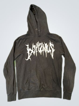boygenius hoodie