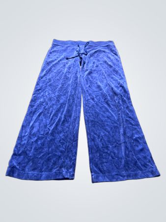 Juicy Couture Blue Velvet Pants