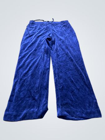 Juicy Couture Blue Velvet Pants