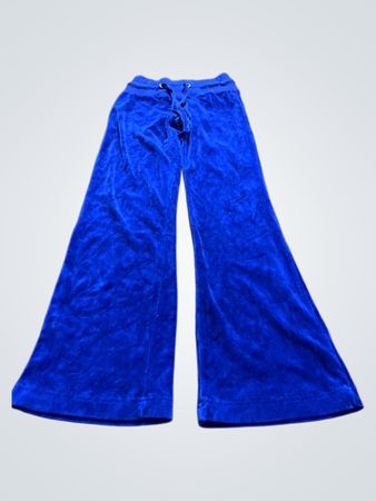 Blue Velvet Pants