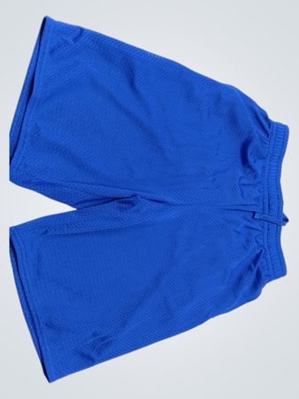Athletic Works Blue Shorts
