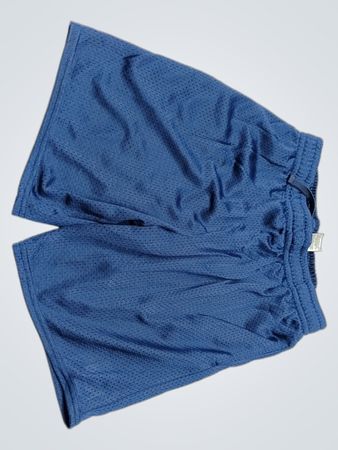 Athletic Works Blue Shorts