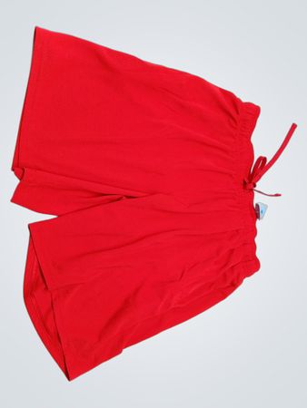 Athletic Works Red Mesh Shorts