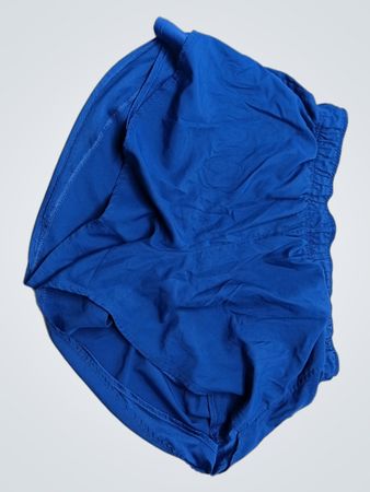 Athletic Works Blue Athletic Shorts