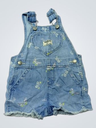 OshKosh B'gosh Butterfly Print Denim Overalls