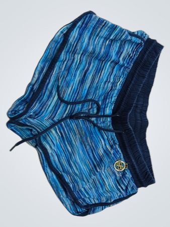 Blue Striped Shorts