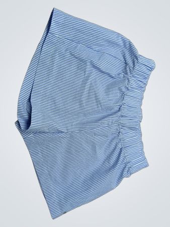 Blue Striped Skirt