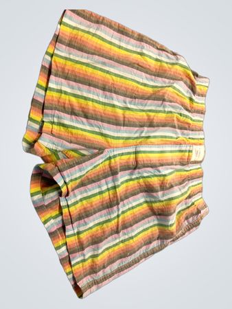 American Eagle Rainbow Striped Shorts