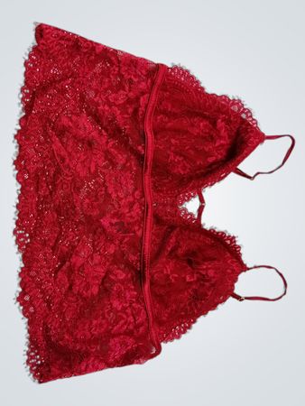 Red Lace Bra