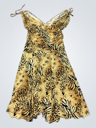 Ataxia Leopard Print Mini Dress