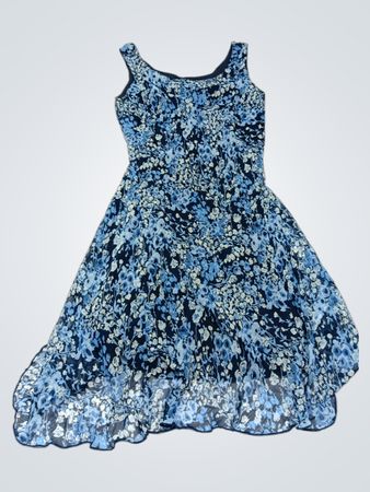 Blue Floral Dress
