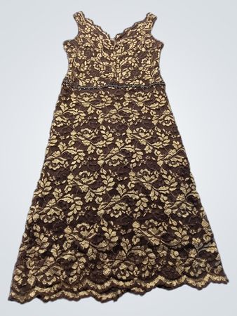 Alexia Admor Brown Lace Dress