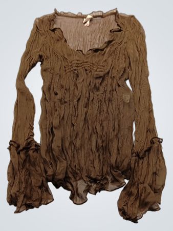Brown Long-Sleeve Sheer Top