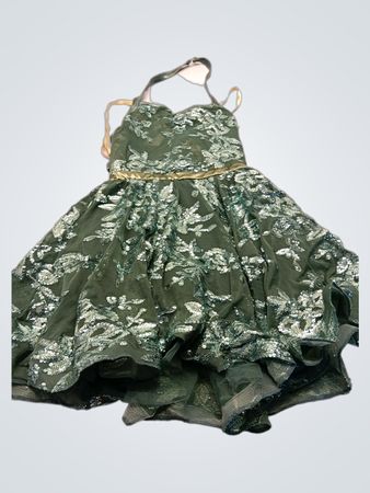 Green Sequined Dress