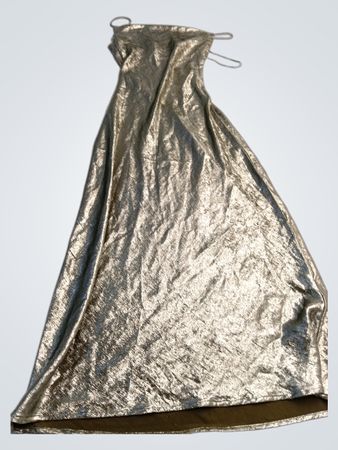 Silver Dress