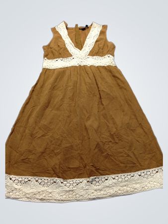 Boston Proper Brown Lace Dress