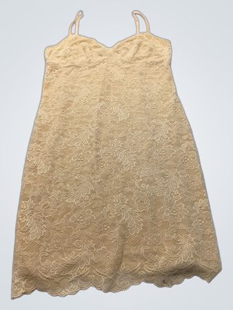 Wilfred Lace Camisole
