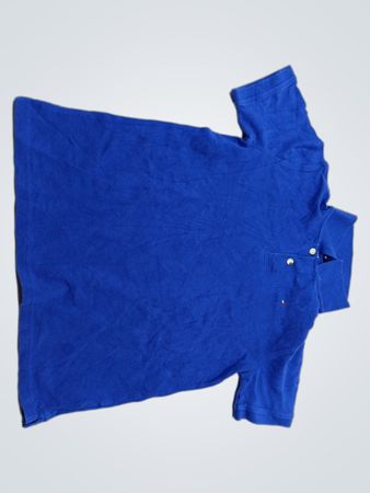 Tommy Hilfiger Blue T-Shirt