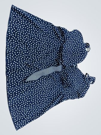 Blue Polka Dot Dress