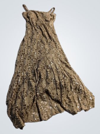 R&M Richards Beaded Lace Maxi Dress