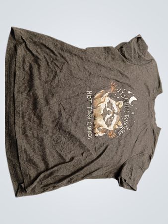 Gray T-Shirt with Raccoon Graphic