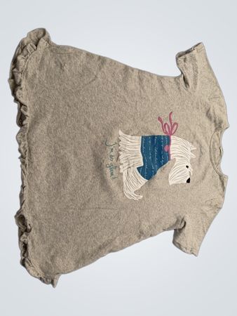 Gray Ruffled Dog Dress