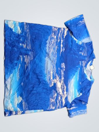 Lindex Blue Cloud Print Top