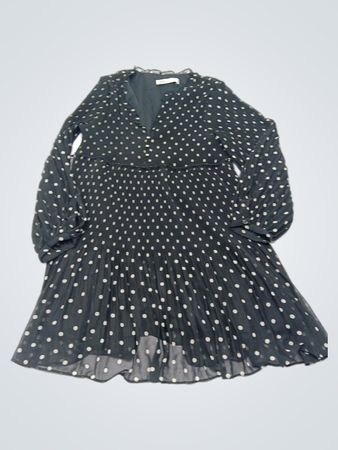 Zara Polka Dot Long Sleeve Dress